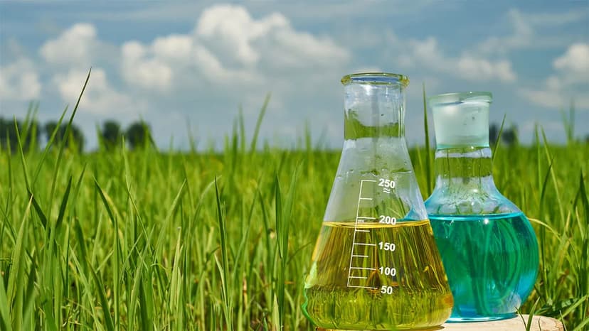 Agriculture Chemicals Industry